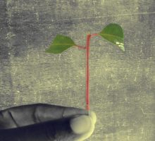 cutting2-forest cutting2-forest