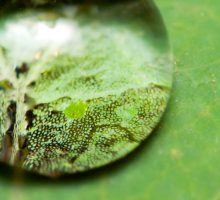 home-background-3 home-background-3