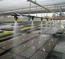 image-0.02.01.2a2fd4006ef59382d5f2bf3027b181dab46ecce837e1506d4996a6fce0ef297e-V image-0.02.01.2a2fd4006ef59382d5f2bf3027b181dab46ecce837e1506d4996a6fce0ef297e-V